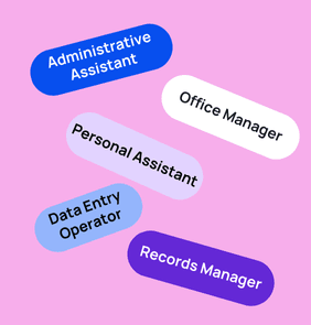 Word bubble graphic listing potential careers in Administration such as Administrative Assistant,Office Manager, Personal Assistant, and more – featured on StudySelect’s Administration courses page