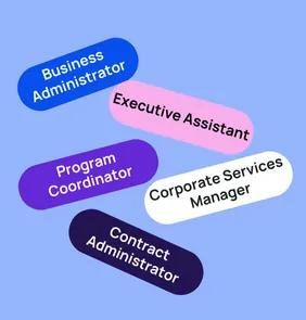 Word bubble graphic listing potential careers in Business Administration such as Business Administrator,Executive Assistant, Program Coordinator, and more – featured on StudySelect’s Business Administration courses page