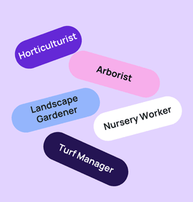 Word bubble graphic listing potential careers in Horticulture such as Horticulturist,Arborist, Landscape Gardener, and more – featured on StudySelect’s Horticulture courses page