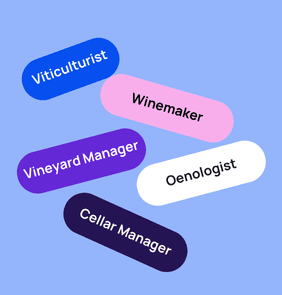 Word bubble graphic listing potential careers in Viticulture such as Viticulturist,Winemaker, Vineyard Manager, and more – featured on StudySelect’s Viticulture courses page