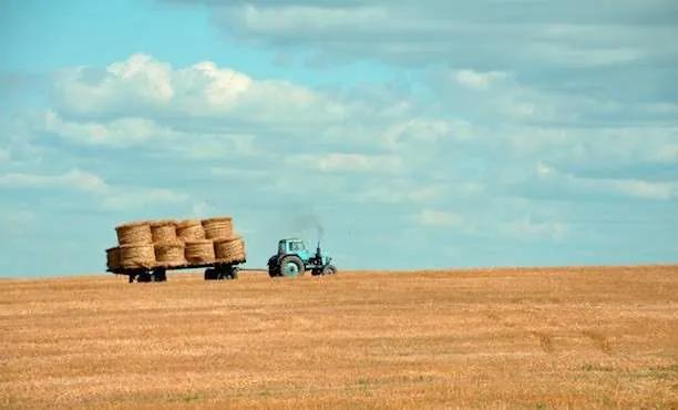 Agriculture graduates get paid well