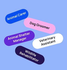 Word bubble graphic listing potential careers in Animal Care such as Animal Carer,Dog Groomer, Animal Shelter Manager, and more – featured on StudySelect’s Animal Care courses page