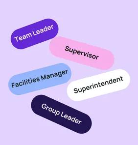 Word bubble graphic listing potential careers in Management such as Team Leader,Supervisor, Facilities Manager, and more – featured on StudySelect’s Management courses page