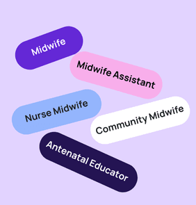 Word bubble graphic listing potential careers in Midwifery such as Midwife,Midwife Assistant, Nurse Midwife, and more – featured on StudySelect’s Midwifery courses page