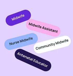 Word bubble graphic listing potential careers in Midwifery such as Midwife,Midwife Assistant, Nurse Midwife, and more – featured on StudySelect’s Midwifery courses page
