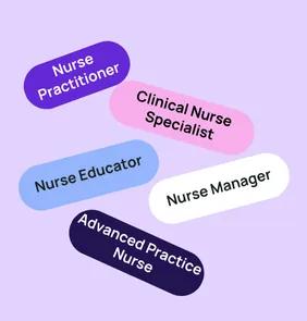 Word bubble graphic listing potential careers in Nurse Practitioner such as Nurse Practitioner,Clinical Nurse Specialist, Nurse Educator, and more – featured on StudySelect’s Nurse Practitioner courses page