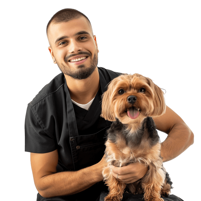 Explore training and pathways to become a Pet Groomer